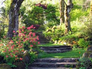 rocky-trail-steps-400px